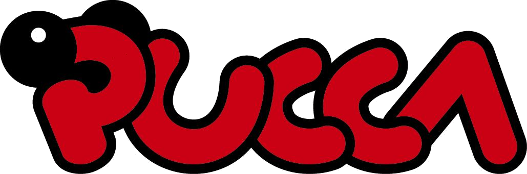 Pucca logo